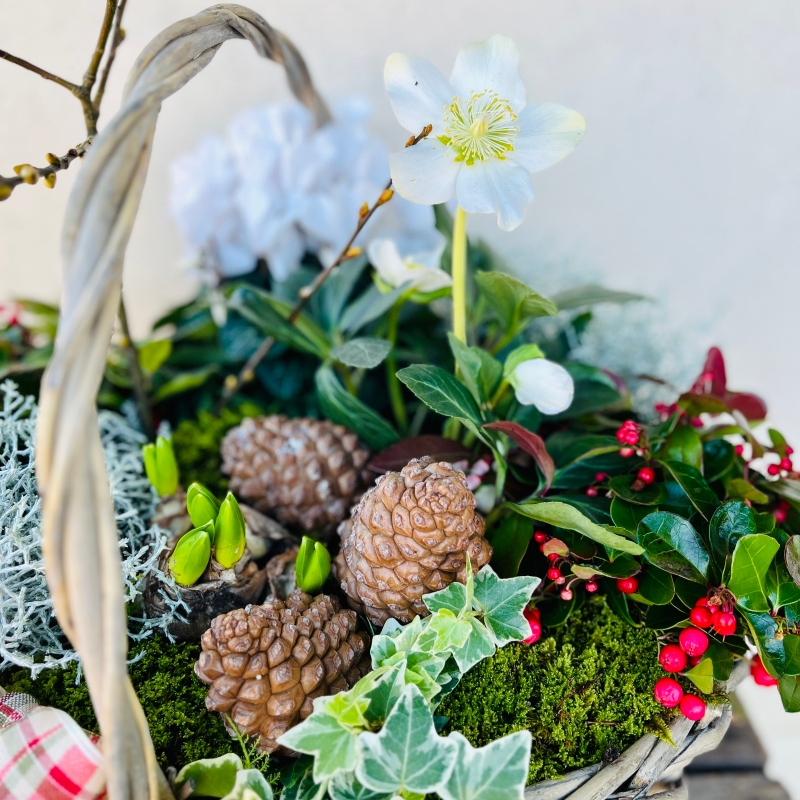 Luxury Christmas Planter