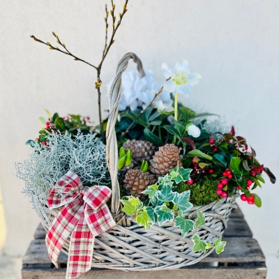 Luxury Christmas Planter